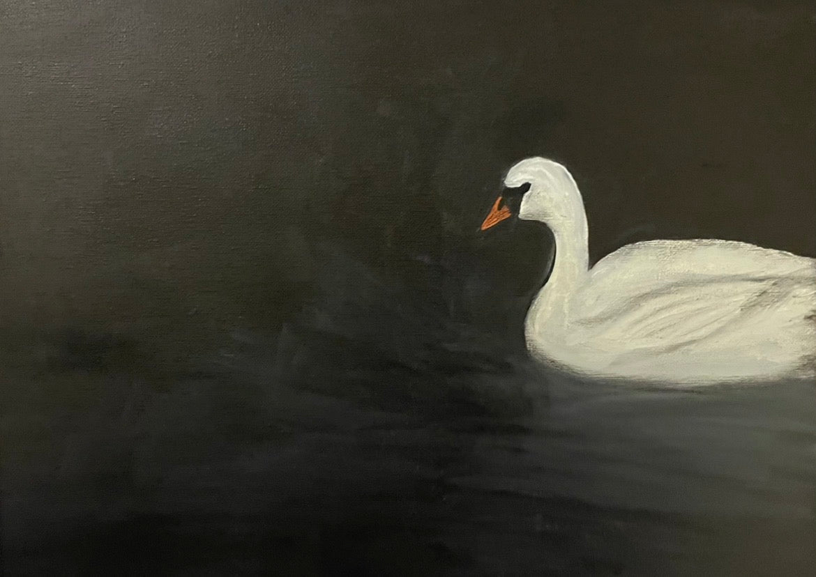 Grace in Darkness
