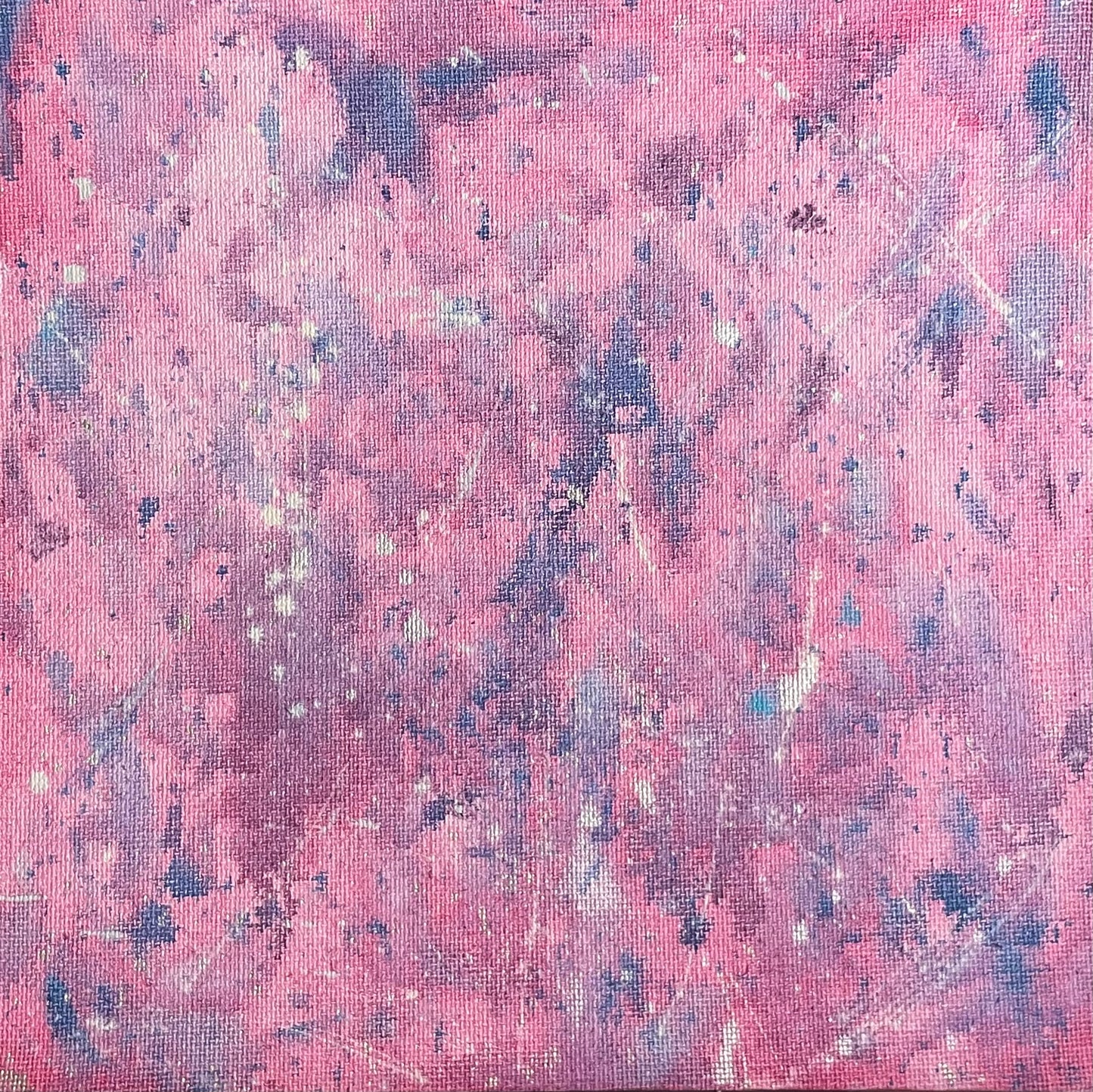 Pink Cosmos