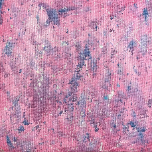 Pink Cosmos