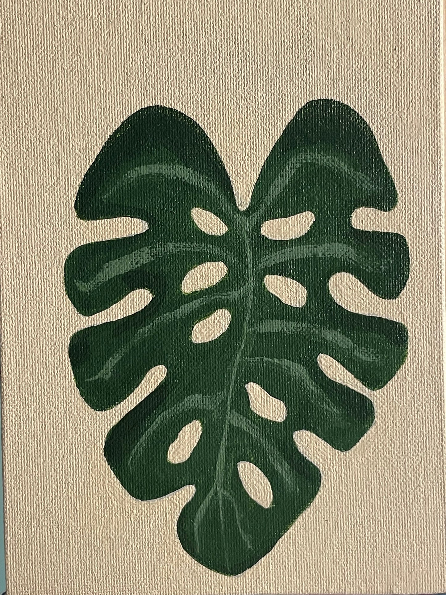 Monstera