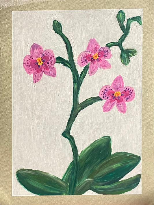 Pink Orchids